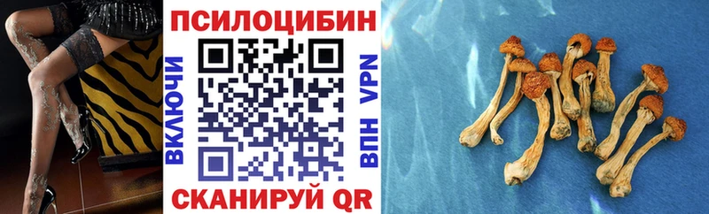 Купить  Гурьевск  Галлюциногенные грибы мицелий 